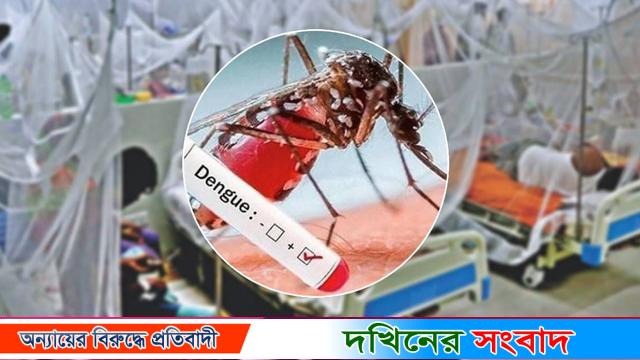 ডেঙ্গু আক্রান্ত হয়ে আরও ২০৪ রোগী হাসপাতালে ভর্তি, ১০১ জনই বরিশালের