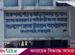 বরগুনায় মা ইলিশ রক্ষায় ১৬ বরফ কলের বিদ্যুৎ সংযোগ বিচ্ছিন্ন